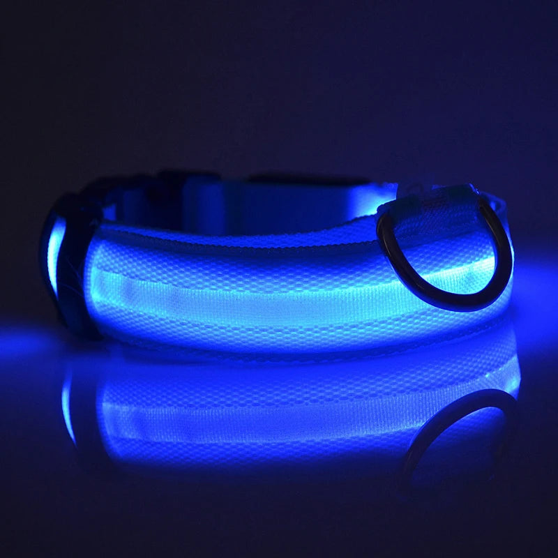 LED Glow Safety Dog Collar: Bright Night Light for Pets  petlums.com   