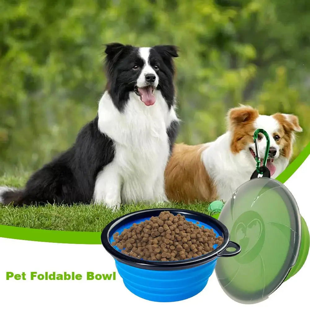 Collapsible Silicone Dog Bowl with Lid and Carabiner for Travel  petlums.com   