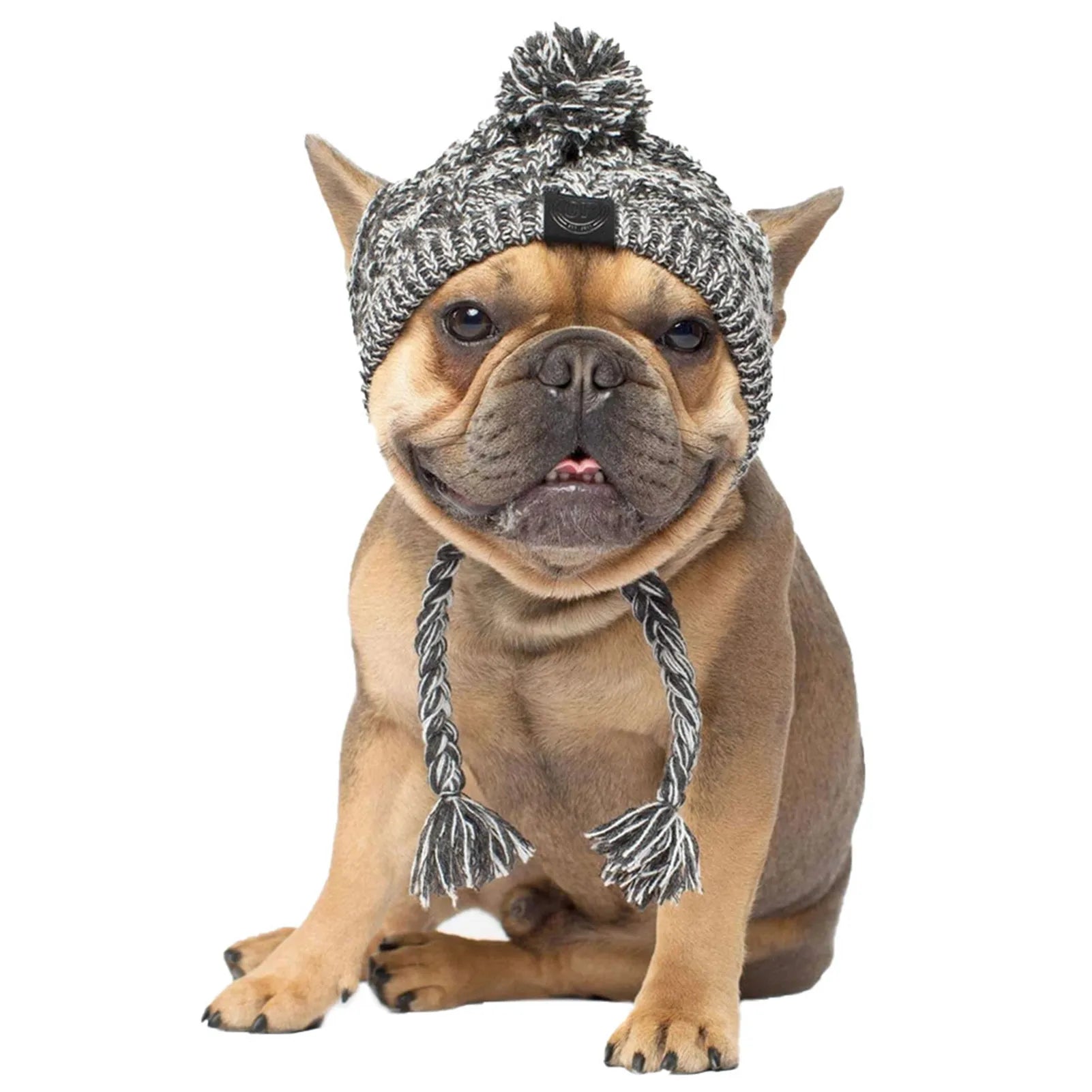 Winter Dog Hats Knitting French Bulldog & Chihuahua Accessories  petlums.com   