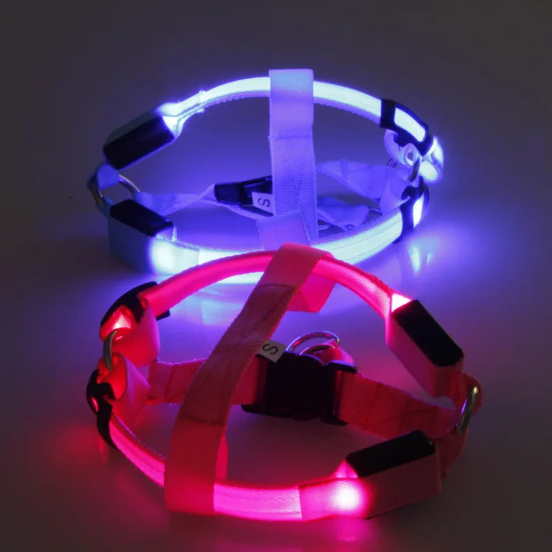 Luminous LED Dog Harness: Night Safety Nylon Collar & Light for Running  petlums.com   