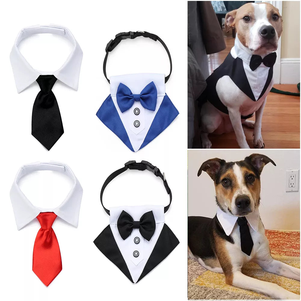 Cotton Adjustable Pet Necktie for Cats & Dogs: Stylish Formal Bow Ties  petlums.com   