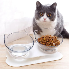 Double Cat Bowl Set: Elevated Feeding Solution for Cats & Kittens