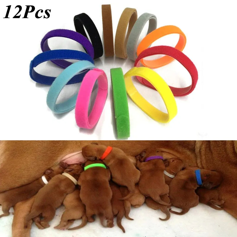Puppy Nylon Pet Collars Set - Adjustable, Multicolor, Soft & Durable  petlums.com 12pcs S 