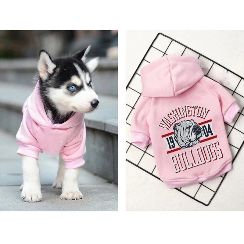 Winter Cotton Dog Hoodies: Stylish & Warm Pet Clothing for French Bulldogs  petlums.com   