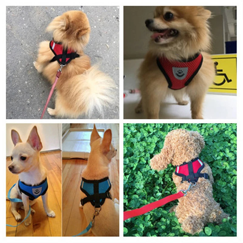 Dog Harness Walking Lead Leash for Small Dogs - Adjustable and Reflective  petlums.com   