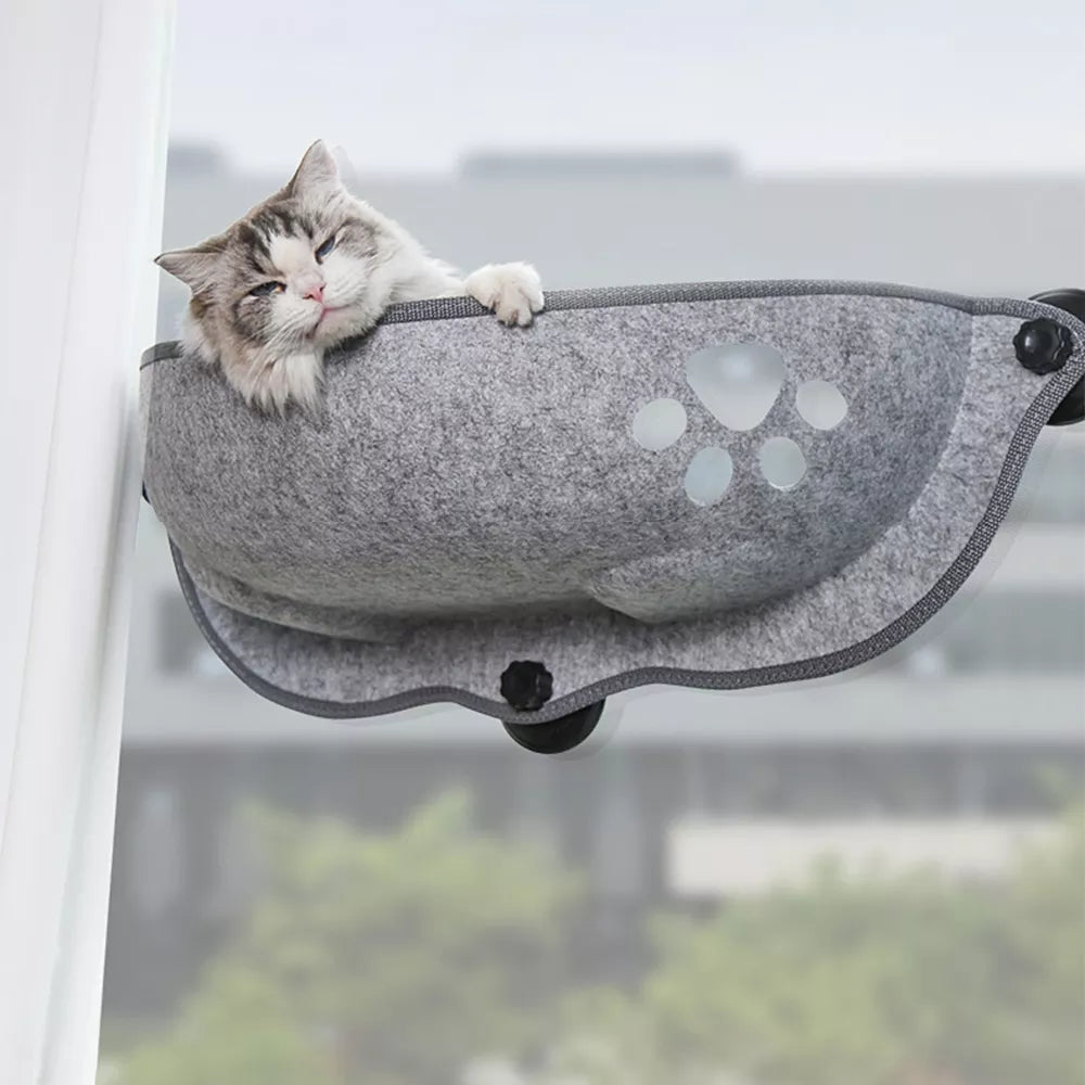 Cat Window Hammock: Strong Suction Cups Hanging Bed for Kitty Sleep & Sunbathe  petlums.com   