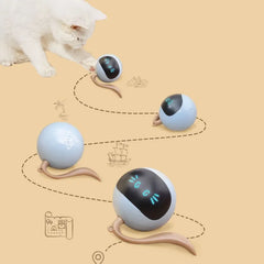 Interactive LED Cat Toy: Engage, Entertain & Exercise Your Pet