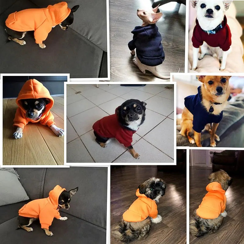 Cozy Dog Coat: Stylish Warm Apparel for Small & Large Breeds  petlums.com   
