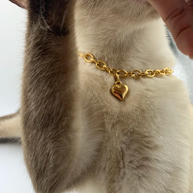 Gold Heart Charm Necklace for Pet Cat Dog Stainless Steel Jewelry  petlums.com   