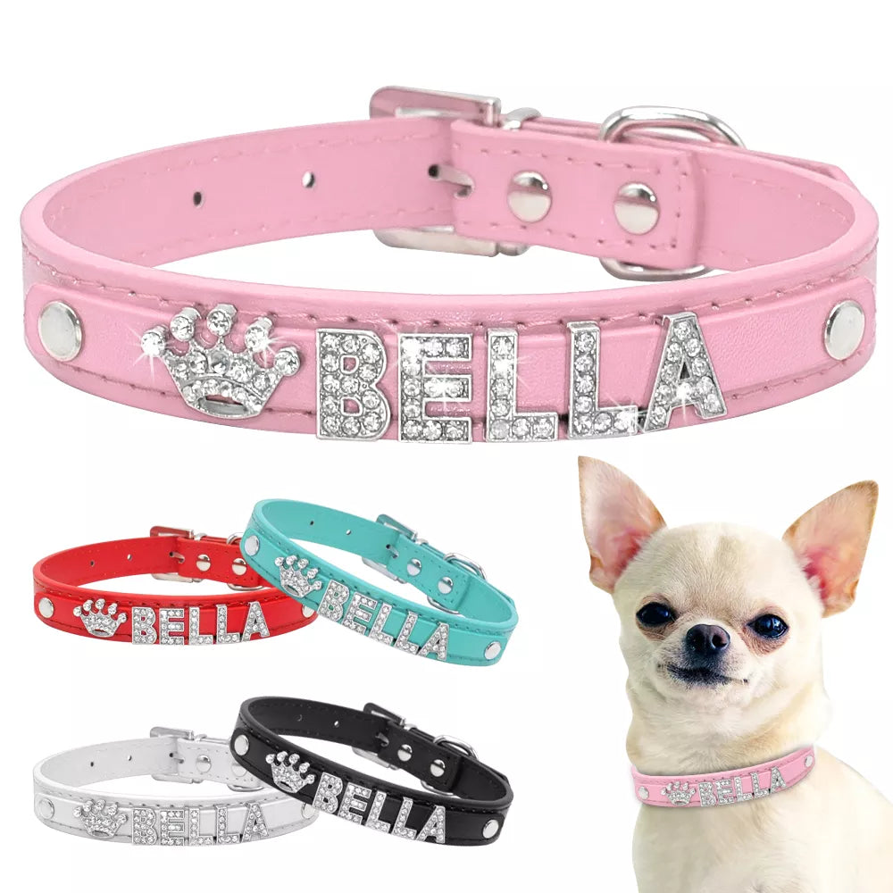 Bling Rhinestone Dog Collars: Personalized Chihuahua Accessories  petlums.com   