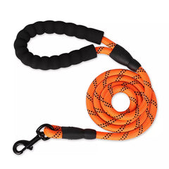 Strong Reflective Dog Leash for Big and Small Dogs - Golden Retriever