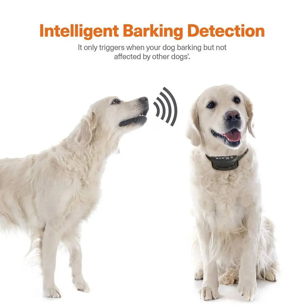 Smart Dog Anti Bark Collar: Advanced Training & Waterproof with GPS Tracking  petlums.com   