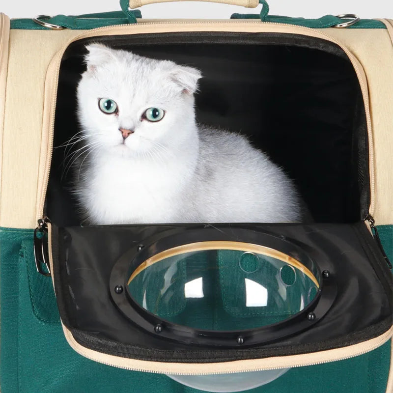 Astronaut Capsule Pet Carrier: Stylish Travel Backpack for Cats & Dogs  petlums.com   