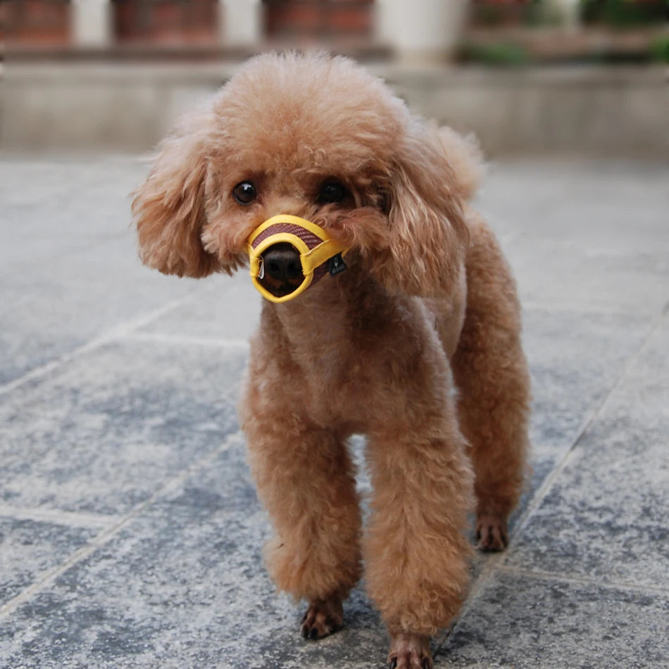 Adjustable Breathable Dog Muzzle for Safe Restraint & Comfort  petlums.com   