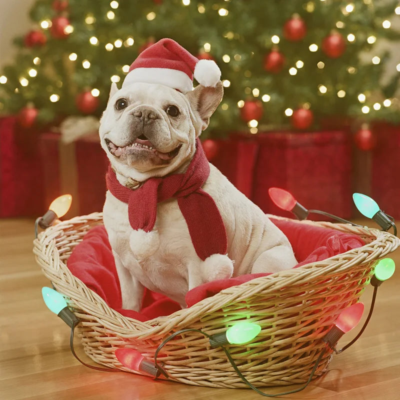 Festive Santa Hat for Pets: Christmas Plush Pet Cap for Holiday Cheer  petlums.com   