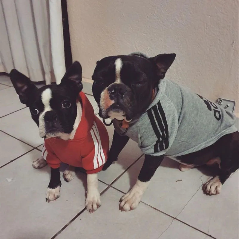 Winter Dog Adidog Sport Hoodies: Stylish Warm Clothing for Pets  PetLums   