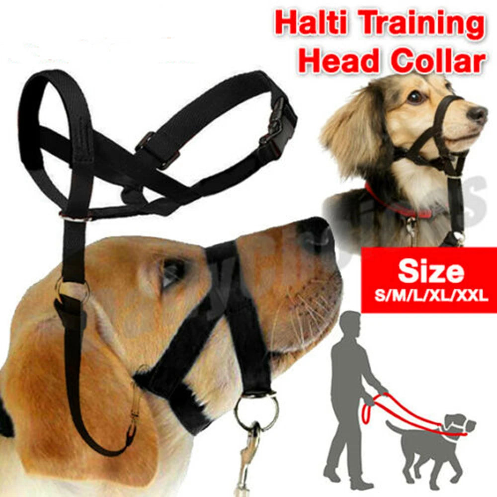 Nylon Dog Muzzle with Training Head Collar: Prevent Pulling, Anti Barking & More!  petlums.com   