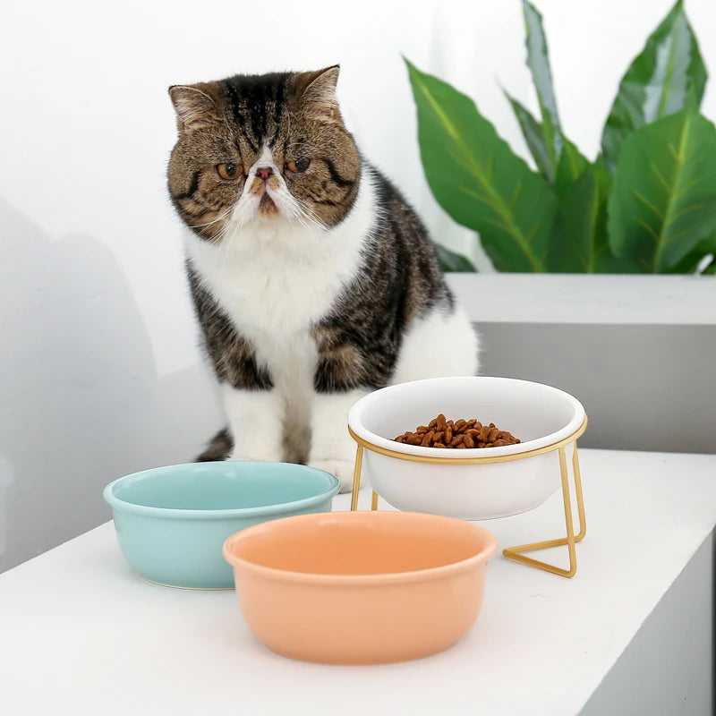 Ceramic Cat Bowl with Raised Stand: Stylish Feeder for Pets with Adjustable Height  petlums.com   