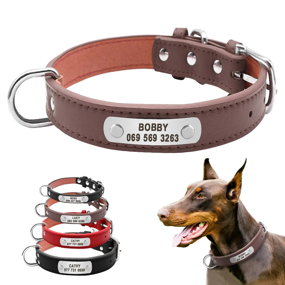 Personalized Leather Dog Collar with ID for Small to Large Pets  petlums.com   
