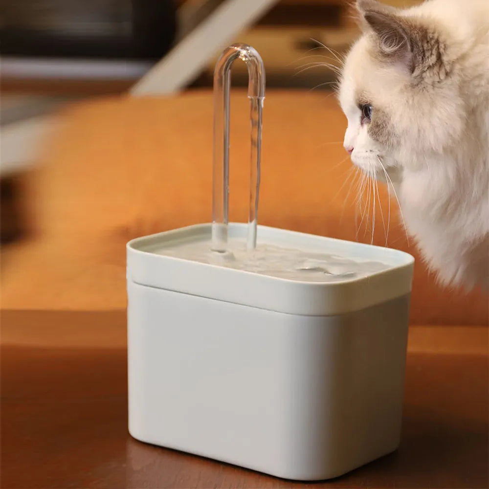 Cat Water Fountain: Auto Filter Pet Drinker Recirculating System  petlums.com   
