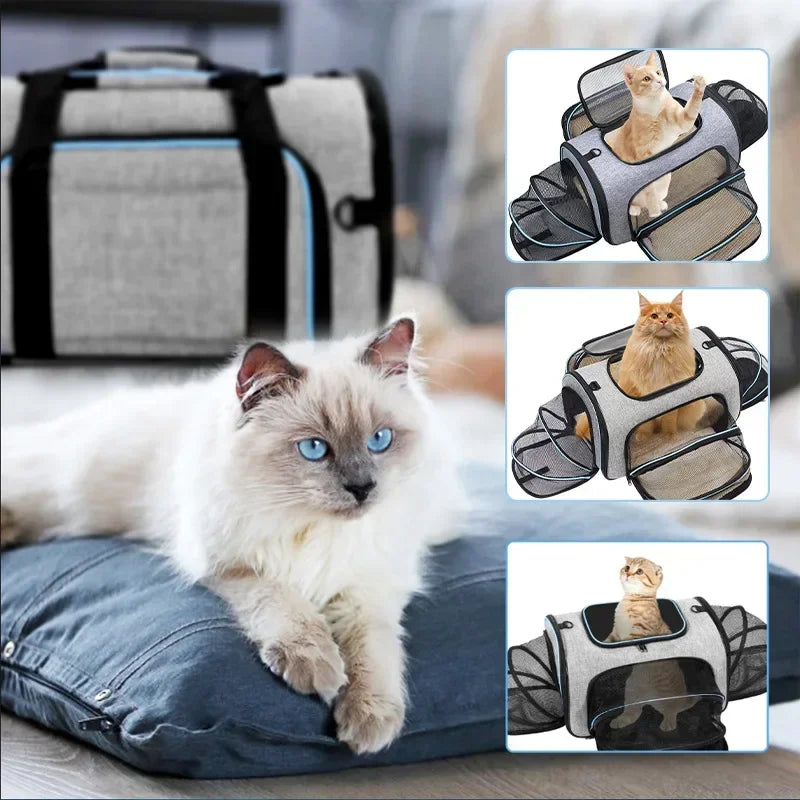 Portable Soft-Sided Cat Carrier Handbag with Expandable Travel Bag  petlums.com   
