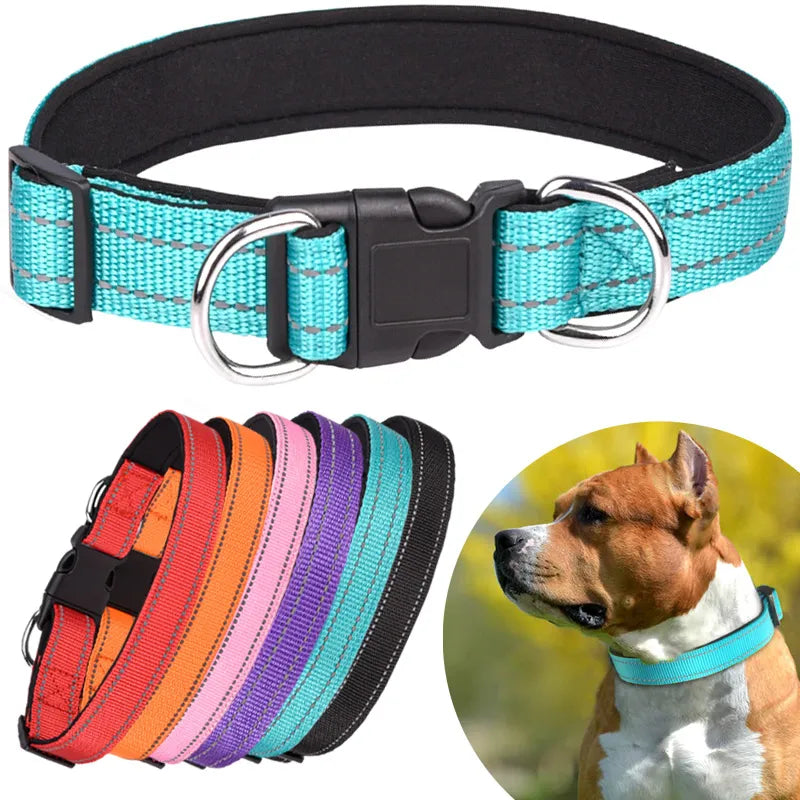 Reflective Neoprene Padded Dog Collar: Stylish Safety for Medium to Large Pets  petlums.com   