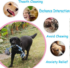 Dog Rope Chew Toy: Grind Tooth Cleaning Fun & Durable