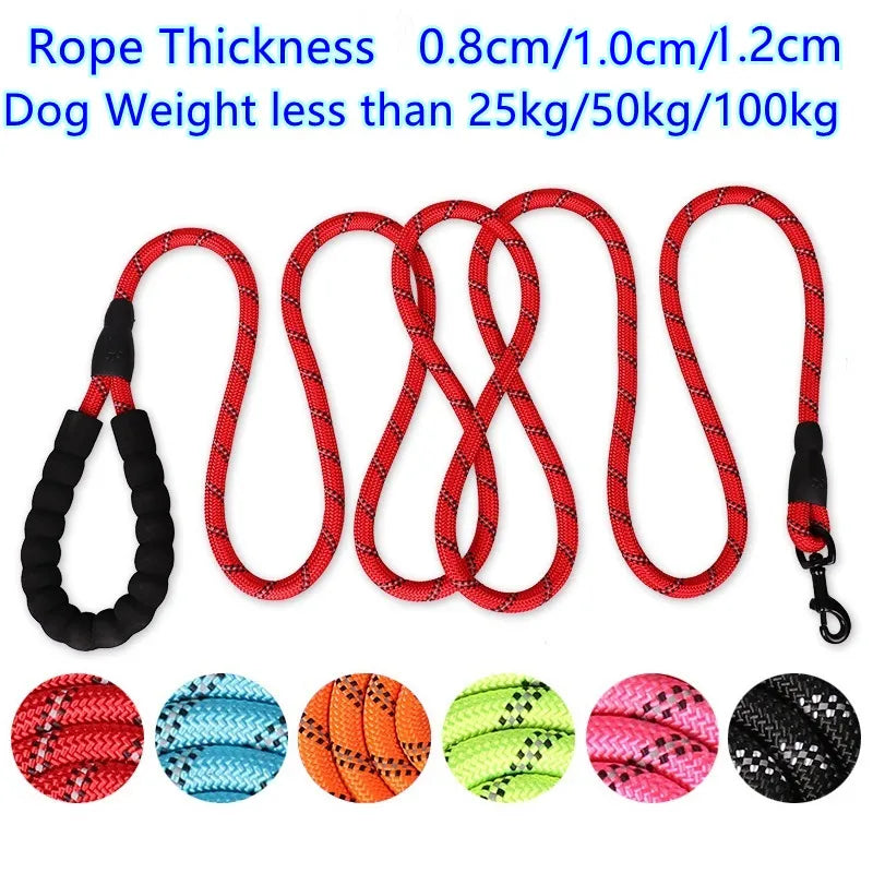 Reflective Strong Dog Leash for Golden Retrievers: Personalized, Quick Release, 6 Colors  My Store   