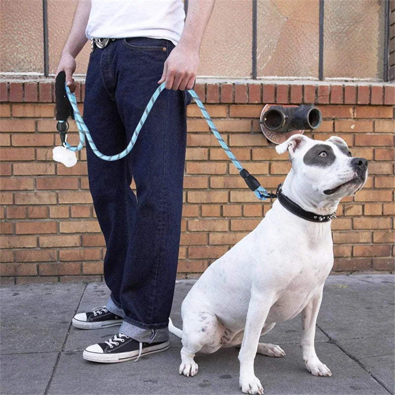 Reflective Strong Dog Leash for Small to Large Dogs: Night Visibility, Durable Nylon, Adjustable Length  petlums.com   