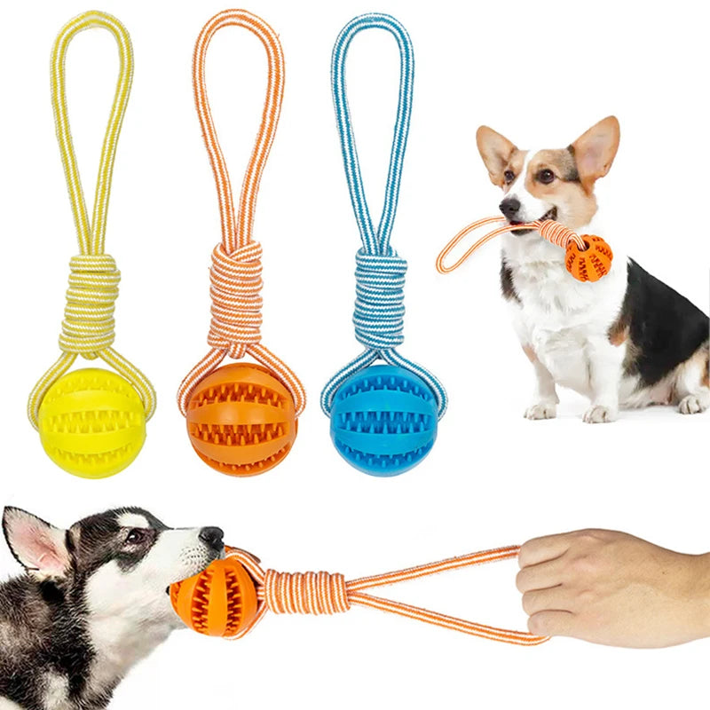 Dog Treat Balls: Interactive Rope Rubber Toys for Small Dogs Bite Resistant  petlums.com   