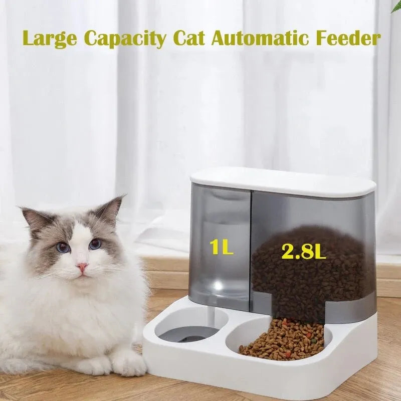 Automatic Pet Feeder: Large Capacity Wet and Dry Separation Cat Food Dispenser  petlums.com   