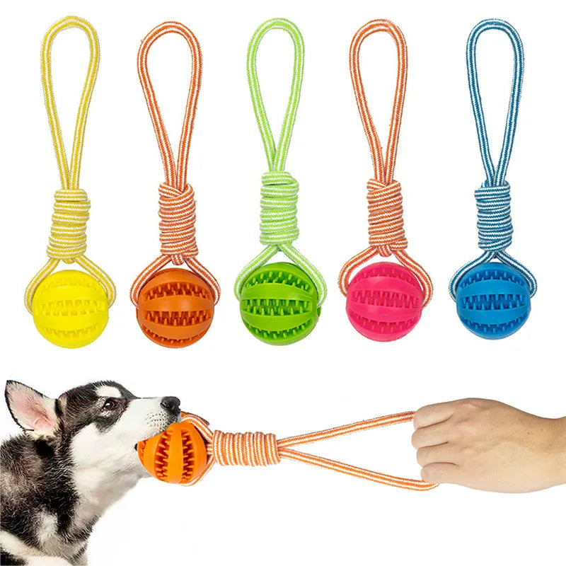 Dog Treat Balls: Interactive Rope Rubber Toys for Small Dogs Bite Resistant  petlums.com   