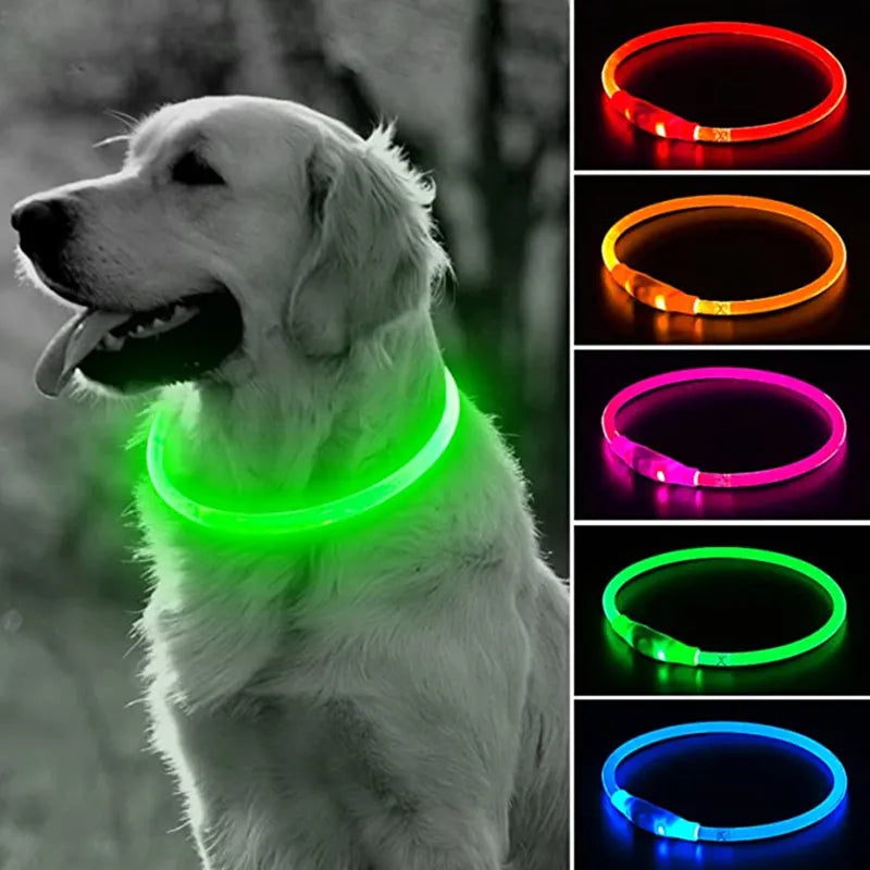 LED Lighted Pet Safety Collar: Bright, Rechargeable, Weatherproof Glow Collar  My Store   