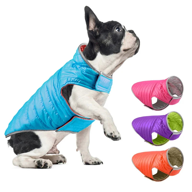 Reflective Reversible Dog Winter Jacket for Chihuahua French Bulldog  petlums.com   