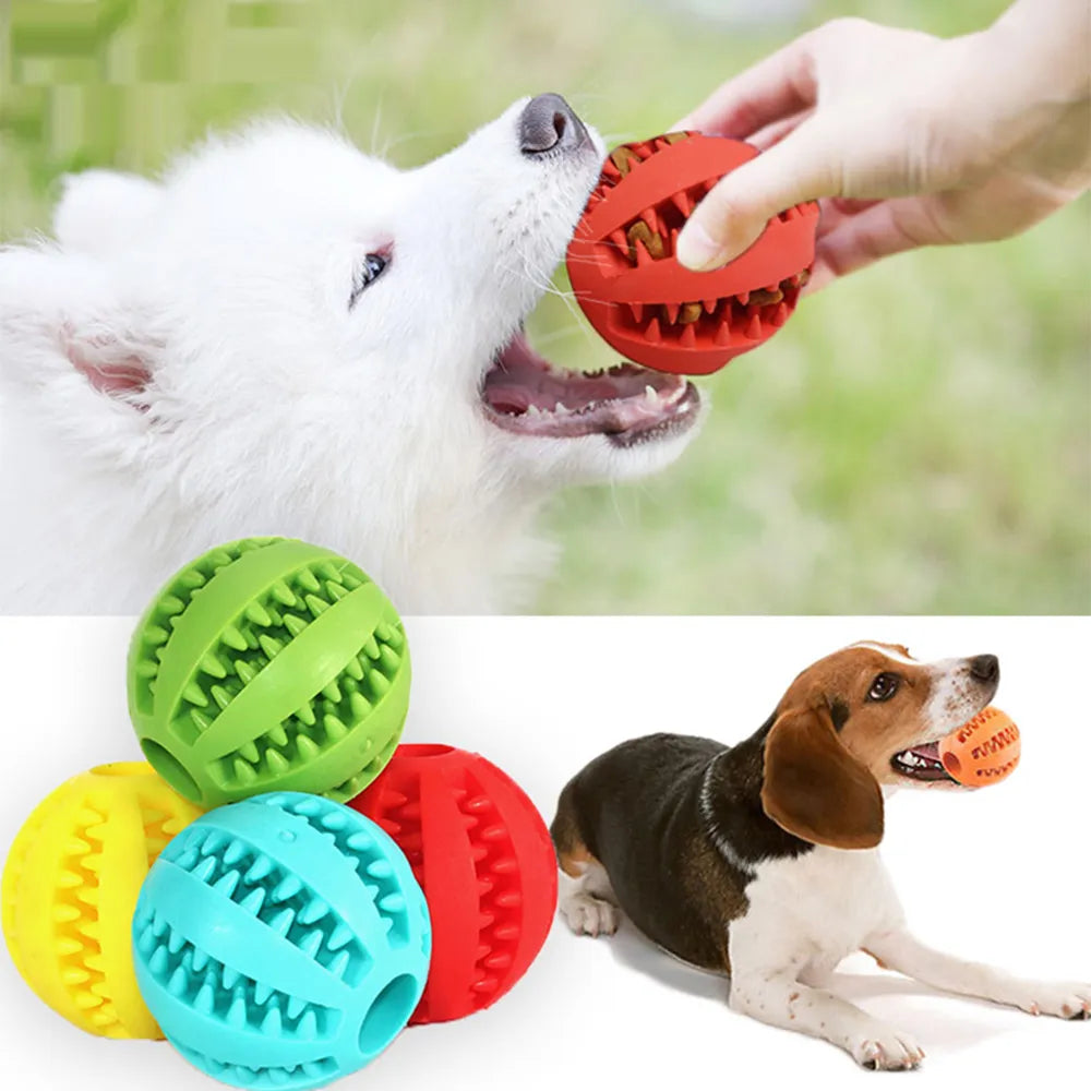 Interactive Rubber Dog Toy for Clean Teeth and IQ Training  petlums.com   