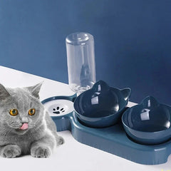Automatic Pet Feeder Water Dispenser with Raised Stand for Cats Dogs