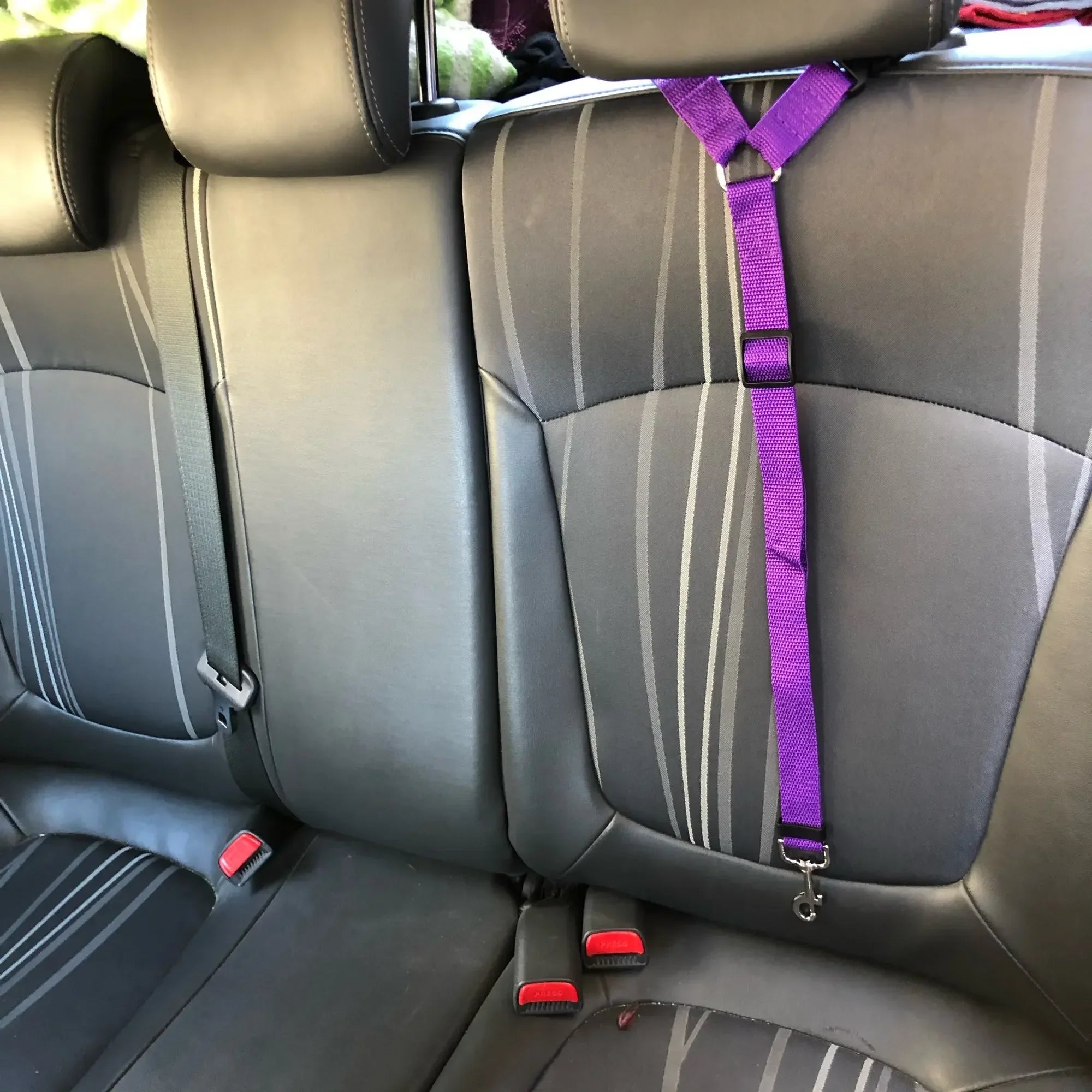 Pet Car Seat Belt with Adjustable Harness: Enhanced Safety for Dogs and Cats  petlums.com   