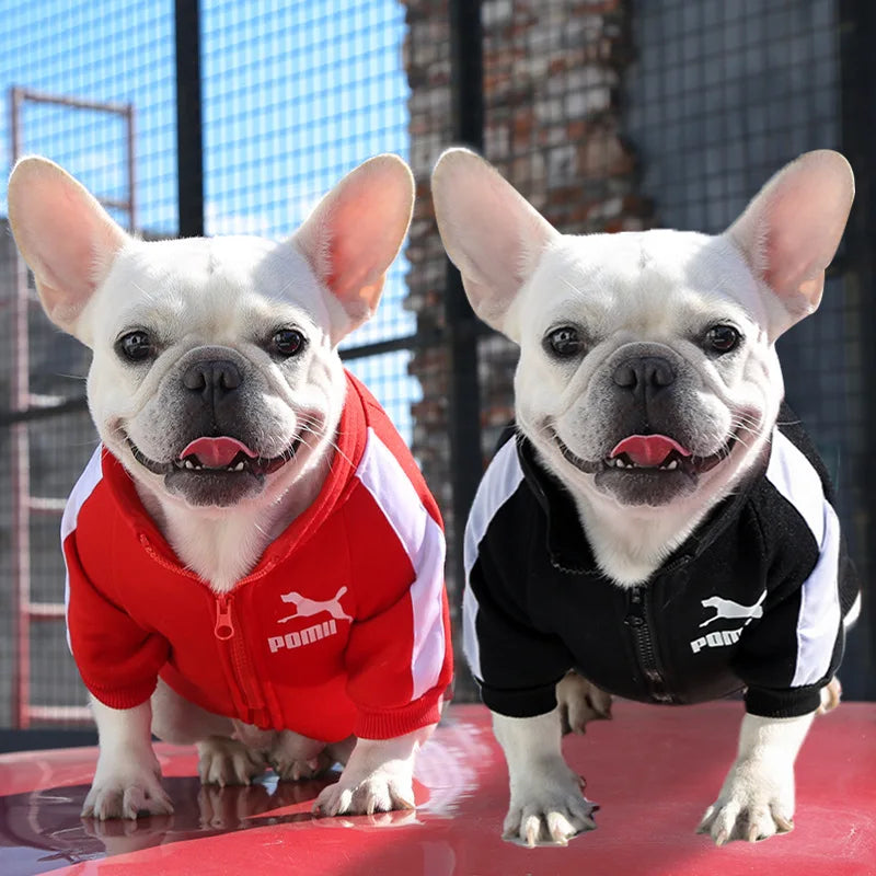 Baseball Dog Jacket Winter Clothes for Small-Medium Dogs - Trendy & Warm!  PetLums   