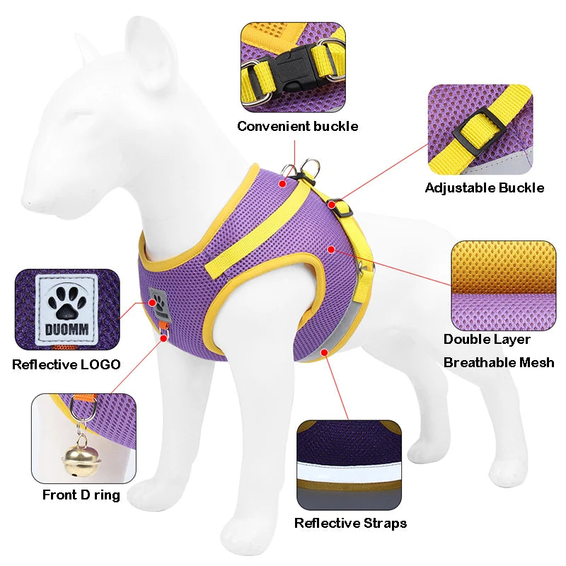 Reflective Dog Harness Set with Leash for Small-Medium Pets  petlums.com   
