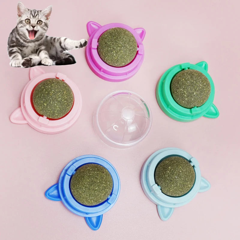 Healthy Cat Catnip Toys Ball: Natural, Interactive, Dental Health & Fun  petlums.com   