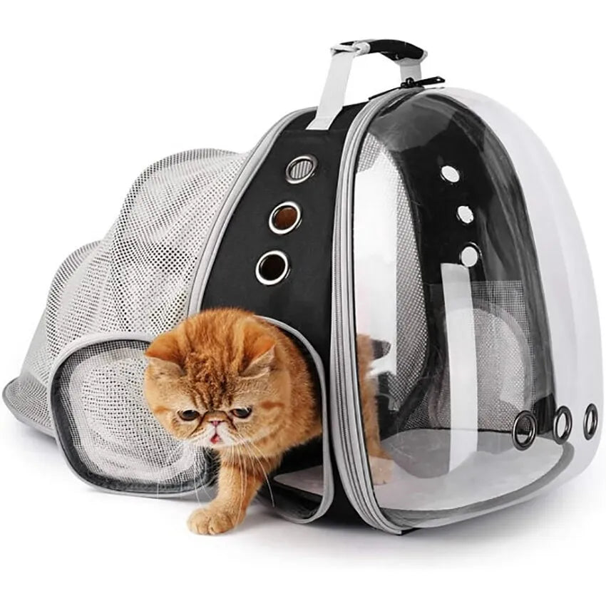 Cat Bubble Space Backpack: Fashionable and Comfortable Pet Travel Solution  petlums.com   