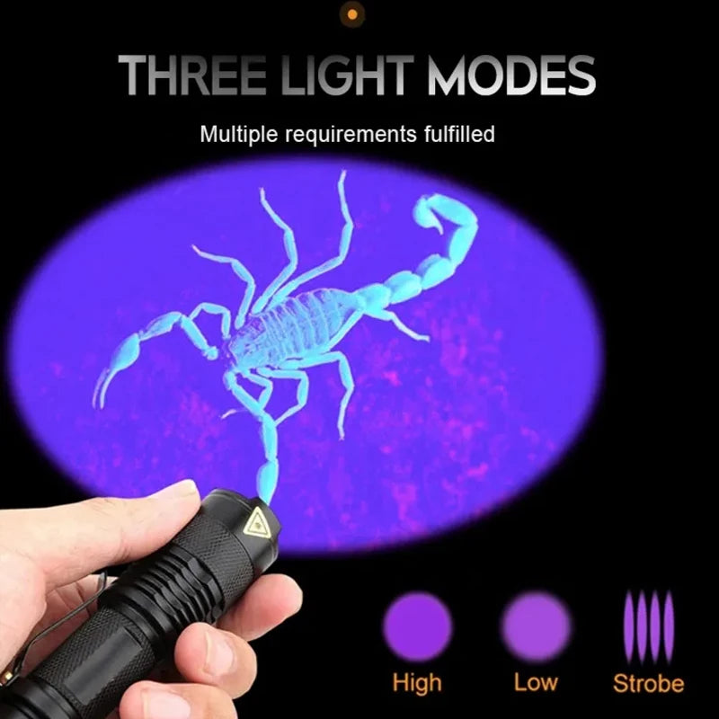 Portable Mini UV Flashlight for Pet Urine Detection & Scorpion Finder  petlums.com   