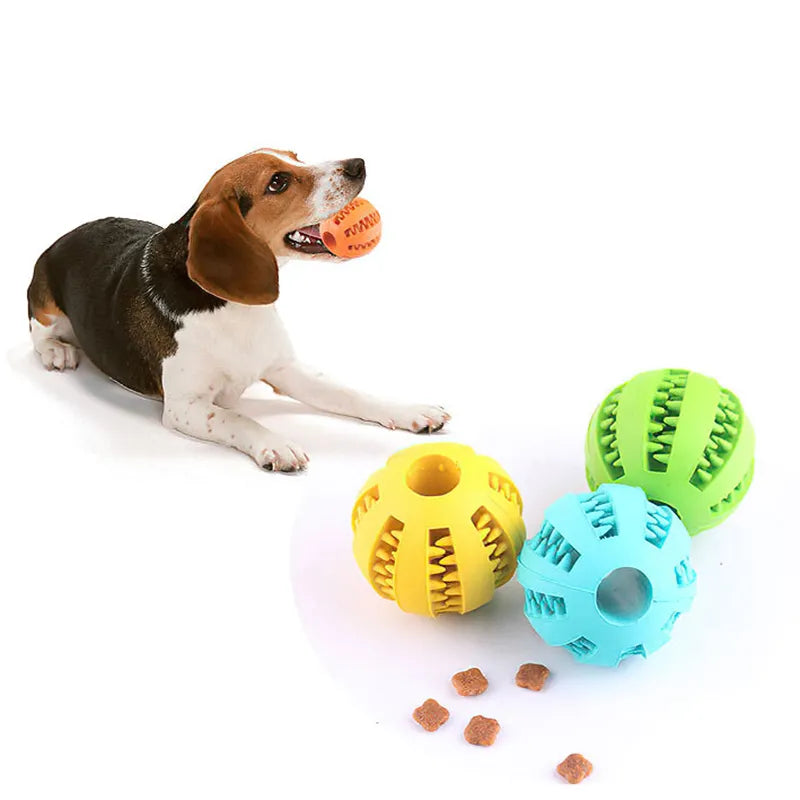 Dog Chew Toy Set: Rubber Teeth Cleaning Interactive Pet Ball Toy  My Store   