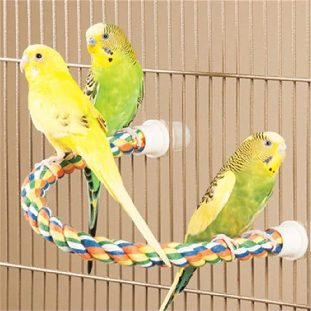 Colorful Parrot Rope Hanging Swing Bird Cage Toy Accessories  petlums.com   