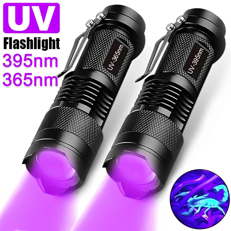 UV Mini Black Light Flashlight for Pet Urine Detection  petlums.com   