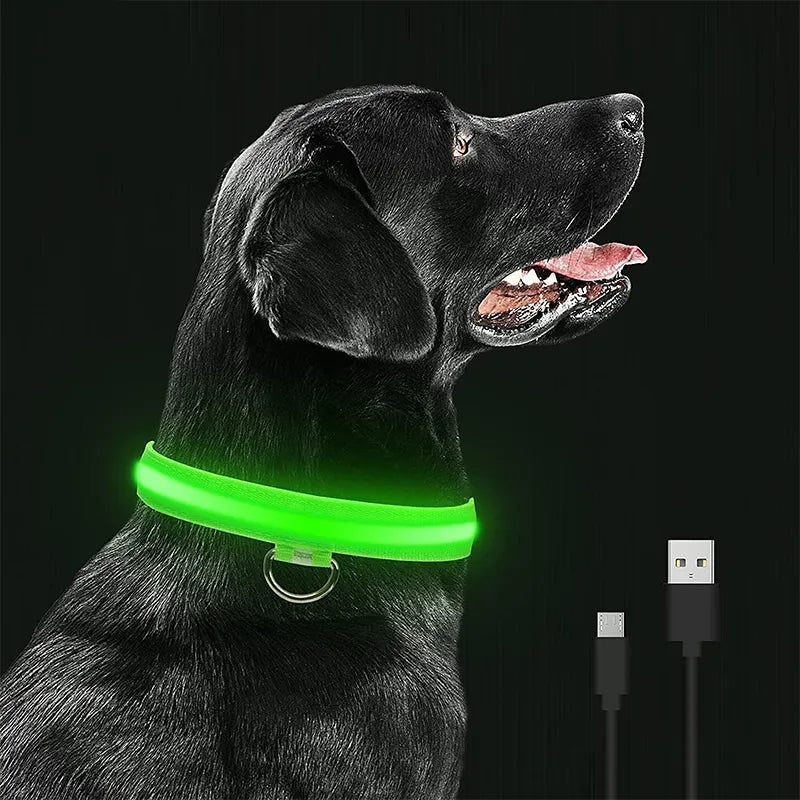 LED Glowing Dog Safety Collar: Visibility, Water-resistant, Rechargeable  PetLums   