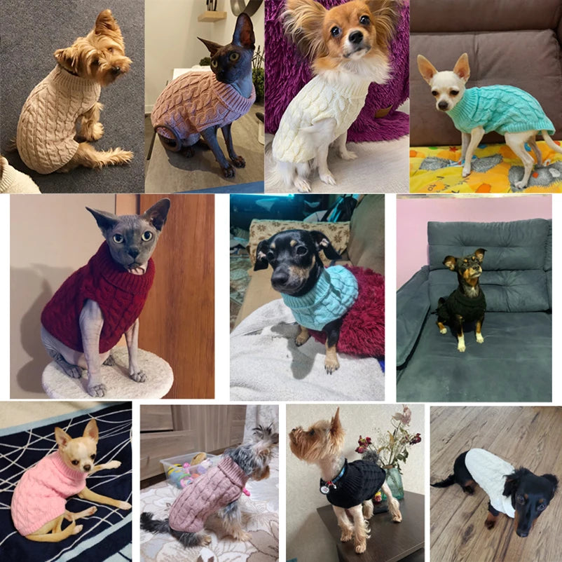 Winter Warm Pet Turtleneck Sweater: Cozy & Stylish Clothes for Small Medium Dogs & Cats  PetLums   