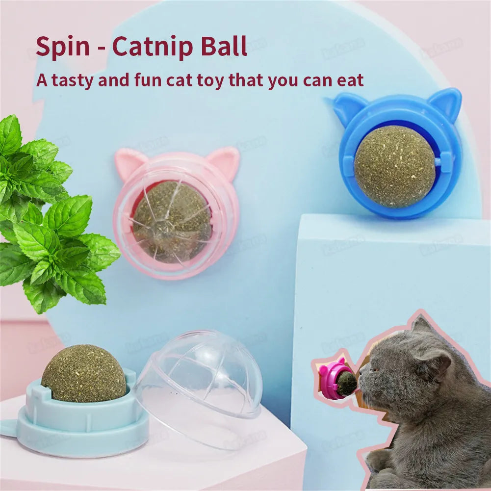 Catnip Wall Ball Cat Toy for Cats - Clean Mouth, Entertain Kittens, Promote Digestion  PetLums   