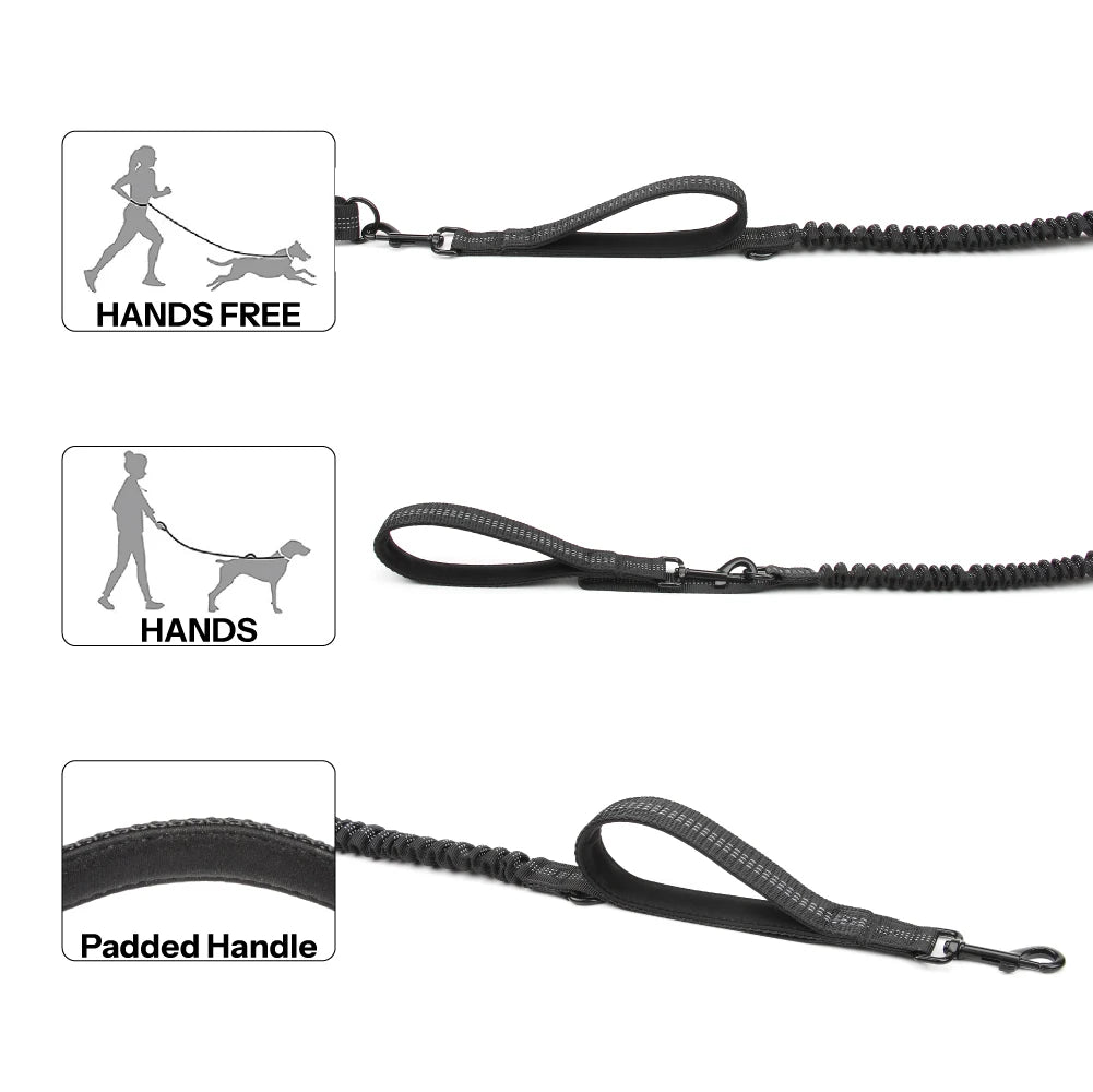 High Quality Hands-Free Dog Leash with Dual Bungee for Large Dogs  petlums.com   