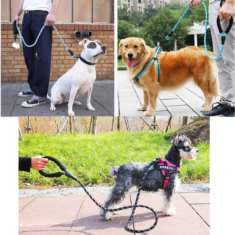 Strong Reflective Dog Leash for Small to Large Breeds: Durable, Adjustable, All Seasons  petlums.com   